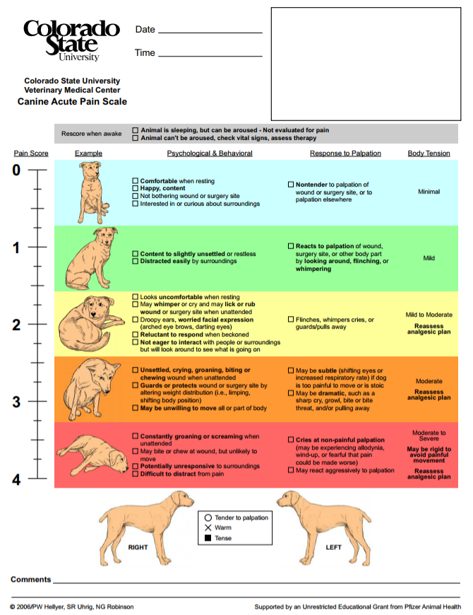 Signs and Symptoms